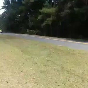 Meet your Posher, Todd